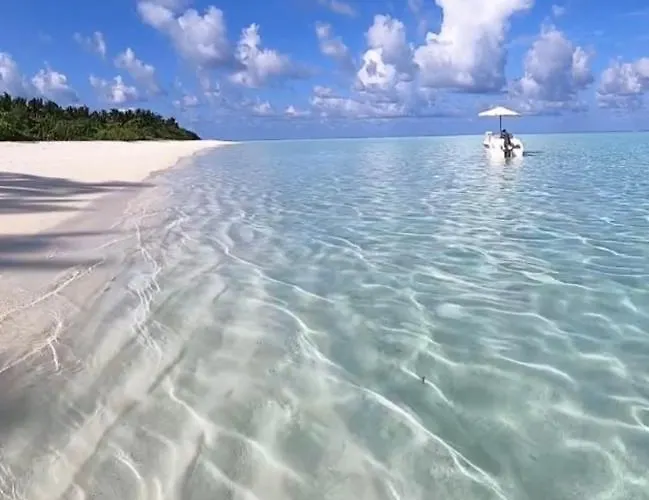 Blue Paradise