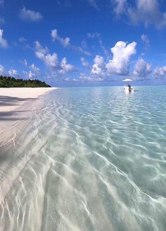 Blue Paradise *